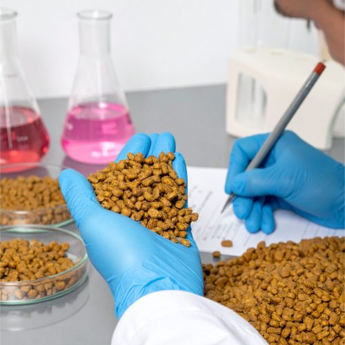 Evaluate and improve existing pet food products through a comprehensive technical review. We assess nutritional adequacy, ingredient quality, regulatory compliance, palatability considerations, and formulation performance, providing a detailed written report with actionable recommendations.